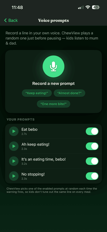 Voice prompts screen